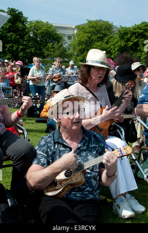 2014 Ukulele Festival of Great Britain, Cheltenham Spa, UK Stockfoto