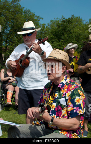 2014 Ukulele Festival of Great Britain, Cheltenham Spa, UK Stockfoto