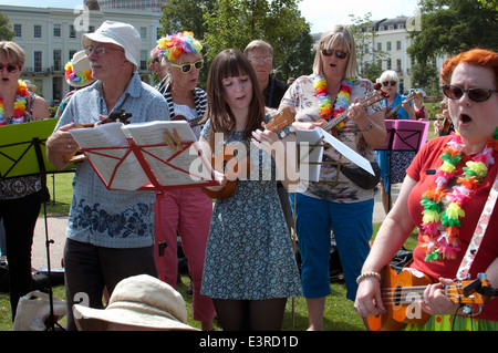 2014 Ukulele Festival of Great Britain, Cheltenham Spa, UK Stockfoto