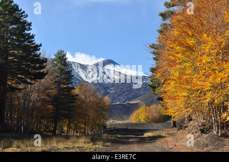 Vulkan Ätna, Etna Park, Etna Nord, Linguaglossa, Catania, Sizilien, Italien, Europa, Stockfoto