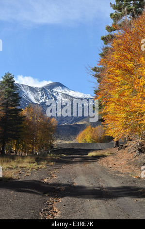 Vulkan Ätna, Etna Park, Etna Nord, Linguaglossa, Catania, Sizilien, Italien, Europa, Stockfoto