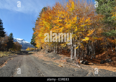 Vulkan Ätna, Etna Park, Etna Nord, Linguaglossa, Catania, Sizilien, Italien, Europa, Stockfoto