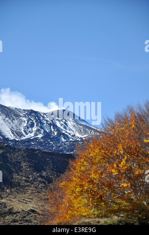 Vulkan Ätna, Etna Park, Etna Nord, Linguaglossa, Catania, Sizilien, Italien, Europa, Stockfoto