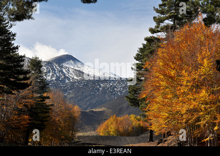 Vulkan Ätna, Etna Park, Etna Nord, Linguaglossa, Catania, Sizilien, Italien, Europa, Stockfoto