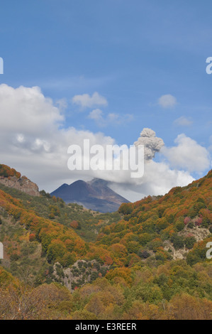 Vulkan Etna, Ätna Park, Catania, Sizilien, Italien, Europa Stockfoto