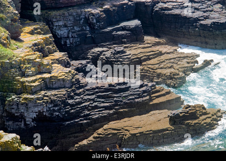 Coastal Detail am Cap Frehel in Bretagne, Frankreich Stockfoto