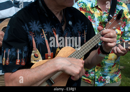 2014 Ukulele Festival of Great Britain, Cheltenham Spa, UK Stockfoto