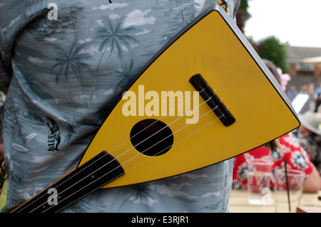 2014 Ukulele Festival of Great Britain, Cheltenham Spa, UK Stockfoto