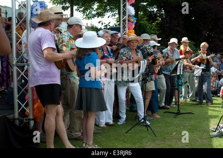 2014 Ukulele Festival of Great Britain, Cheltenham Spa, UK Stockfoto