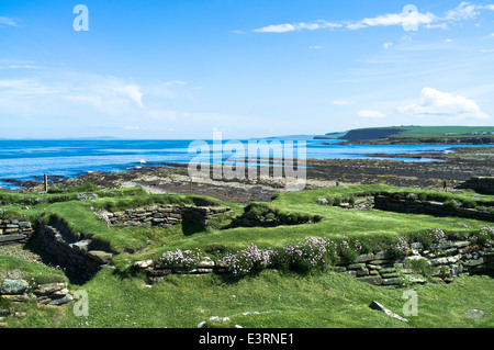 dh Brough of Birsay BIRSAY ORKNEY 9. 12. Jahrhundert Wikinger Wikinger-Siedlung Ruinen Birsay Nordküste Stockfoto