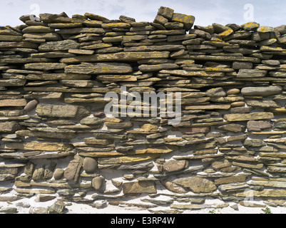 Dh Deich stone wall NORTH RONALDSAY ORKNEY Trocken stane Wände Schafe auf Seashore Textur zu halten Stockfoto