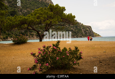 Iztuzu Plaji (Turtle Beach), in der Nähe von Dalyan, Türkei. Stockfoto