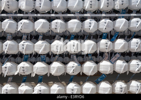 Hunderte von Lampions hängen in Jogyesa-Tempel in Seoul vor Buddhas Geburtstag. Stockfoto