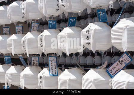 Hunderte von Lampions hängen in Jogyesa-Tempel in Seoul vor Buddhas Geburtstag. Stockfoto