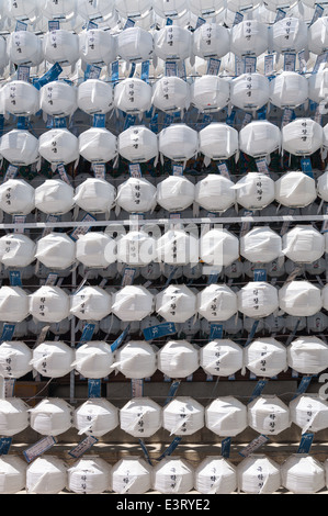 Hunderte von Lampions hängen in Jogyesa-Tempel in Seoul vor Buddhas Geburtstag. Stockfoto