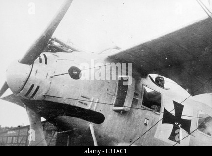 Dieses Foto aus der Lou Larson Collection zeigt ein deutsches Doppeldecker aus dem Ersten Weltkrieg, das von den Deutschen Luftstreitkräften verwendet wurde. Das Flugzeug repräsentiert die Luftfahrttechnik des Ersten Weltkriegs. Stockfoto