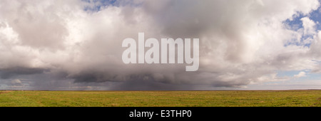 Landwirtschaftlichen Bereich unter einem dramatischen Himmel kurz vor einem Gewitter, Dänemark, Europa Stockfoto