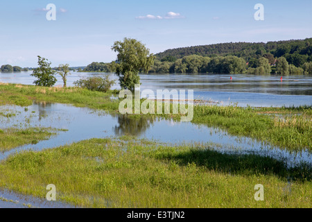 Hochwasser Elbe bei Dömitz, 2013, Deutschland, Europa Stockfoto