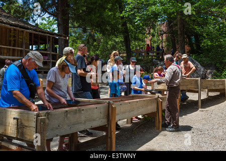 Touristen, Goldwaschen in der alten Gold-Bergbau Stadt Columbia, Tuolumne County, südlichen Gold Land, Kalifornien, USA Stockfoto