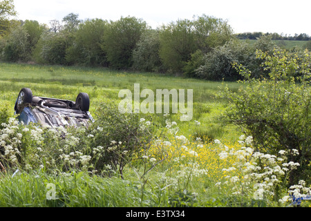 Gerollte Auto auf einer Wiese Butterblume nach einem Verkehrsunfall Stockfoto