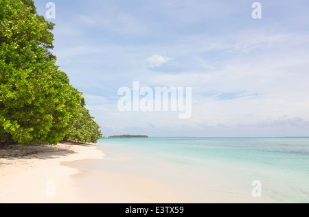 Einsamen Zapatilla Inseln auf dem Archipel Bocas del Toro, Panama Stockfoto