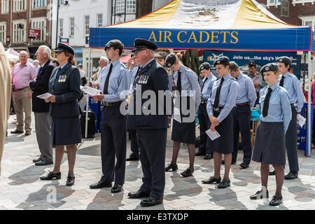 Salisbury, UK. 29. Juni 2014. Armed Forces Day in Salisbury.  Armed Forces Day 2014 Veranstaltungen finden überall im Land statt. Bildnachweis: Paul Chambers/Alamy Live-Nachrichten Stockfoto