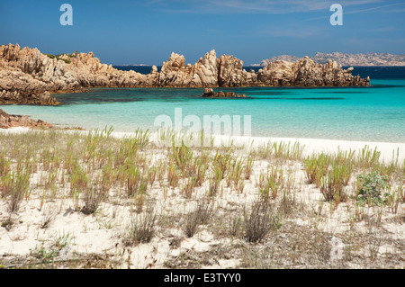 Berühmten unberührte Spiaggia Rosa Strand bei Cala di Roto, Budelli, La Maddalena, Gallura Inselregion, Sardinien, Italien Stockfoto