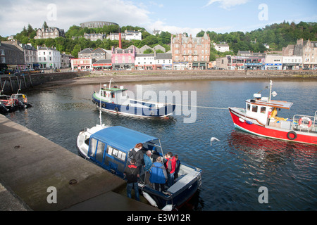 Angelboote/Fischerboote im Hafen von Oban, Argyll and Bute, Scotland Stockfoto