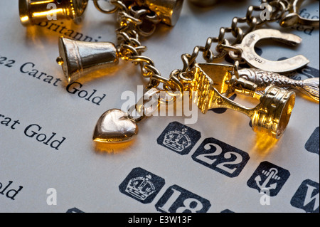 Bruchgold MARKENZEICHEN REINHEIT 60er Gold Armband auf der Seite von Gold Reinheit und Markenzeichen Nachschlagewerk Stockfoto