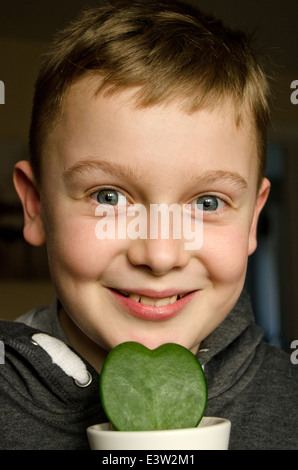 Kleiner Junge hält eine Hoya Kerrii Herz geformt Topfpflanzen Pflanze Stockfoto