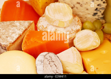 Verschiedene Arten von Käse-Komposition Stockfoto