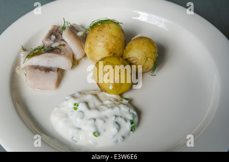 Traditionelle schwedische Sommer Mahlzeit mit neuen Kartoffeln und marinierter seafish Stockfoto
