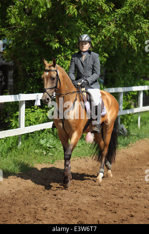 Junge Frau reitet "gold" Achal-Tekkiner Pferde Stockfoto