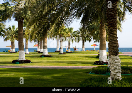 Katar, Mesaieed, das touristische Zentrum von Sealine Beach Stockfoto