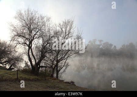 Am frühen Morgennebel über den Vaal River in Südafrika. Stockfoto