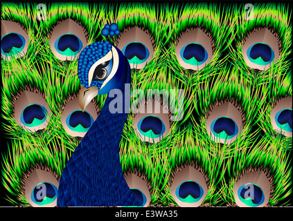 Pfau Stockfoto