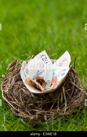 Nest mit britischen Geld gefüllt. Dieses Nest wurde eine verlassene Nest gefunden in einer Hecke, die entfernt wurde. Stockfoto