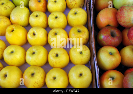 Gelbe und rote Äpfel in einem Obstmarkt angezeigt Stockfoto