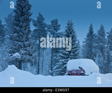 Schneebedeckte LKW und Bäume, Lappland, Schweden Stockfoto