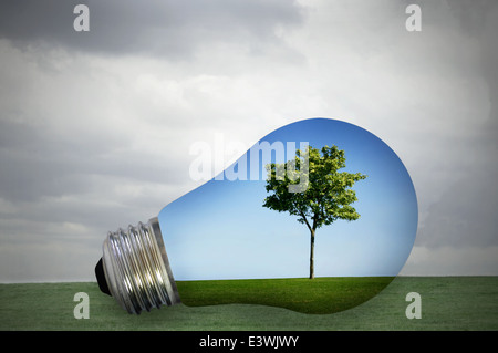 Baum mit Gras- und blauen Himmel in einer Glühbirne Stockfoto
