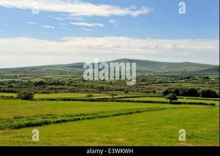 Wales Landschaft und Felder Preseli-Berge des Pembrokeshire Coast National Park im Hintergrund, Carmarthenshire, Wales, UK Stockfoto