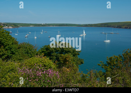 Dale Straßen von blau Anker Holz - Pembrokeshire, Wales, UK Stockfoto