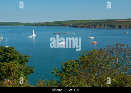 Dale Straßen von blau Anker Holz - Pembrokeshire, Wales, UK Stockfoto