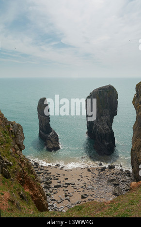 Elegug Stapel, Pembrokeshire, Wales, UK Stockfoto