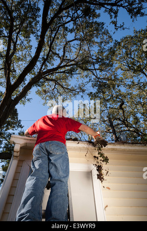 Reifer Mann Reinigung Haus Dachrinnen, USA Stockfoto