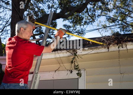 Reifer Mann Reinigung Haus Dachrinnen, USA Stockfoto