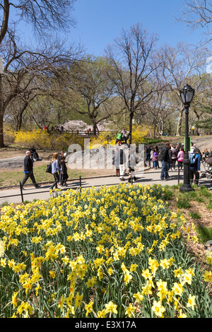 Frühling im Central Park, New York, USA Stockfoto