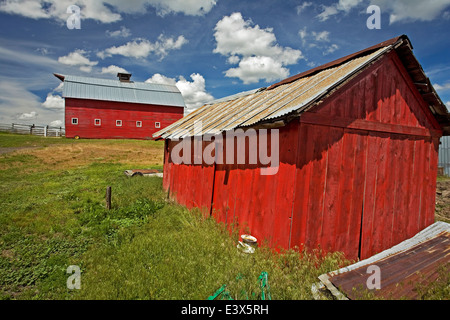 USA, Washington, Whitman County, Palouse, Scheune Stockfoto