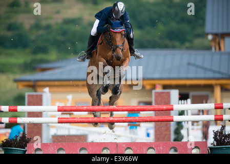 Petr Kuba auf Pferd springt Zancara Hürde auf Rozalka WM 2014 am 29. Juli 2014 in Pezinok, Slowakei Stockfoto