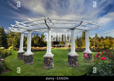 USA, Washington, Spokane, Manito Park, Rosengarten Stockfoto